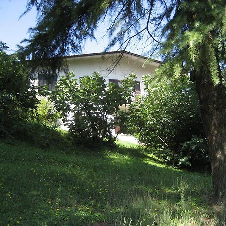 Apartament La Secchia Rapita Zappolino Zewnętrze zdjęcie